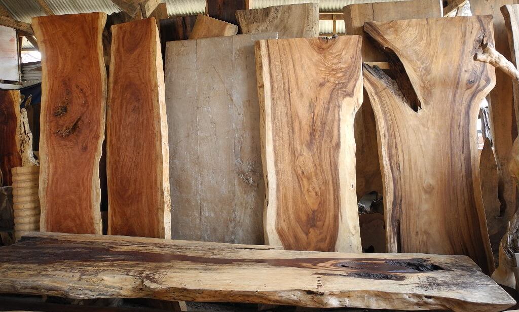 Druhy dreva: vlastnosti a využitie miestnych drevín pri výrobe