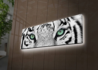 ASIR Obraz na plátne s LED podsvietením BIELY TIGER 30 cm obr-3