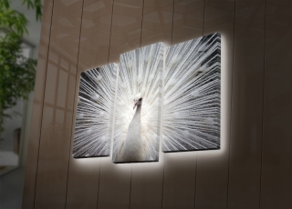 ASIR Obraz na plátne PÁV s LED podsvietením 66 cm