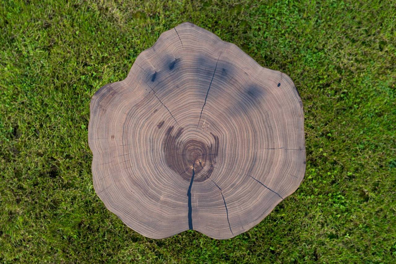 Konferenčný stôl z masívneho priečne rezaného gaštanavého dreva 🌳